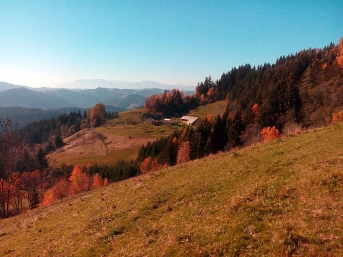 Image showing the view of farm in fall from the neighoring hill.